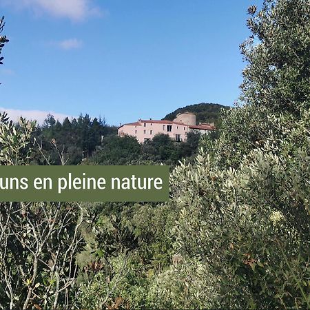 Pyrenees Mon Amour Felluns Экстерьер фото