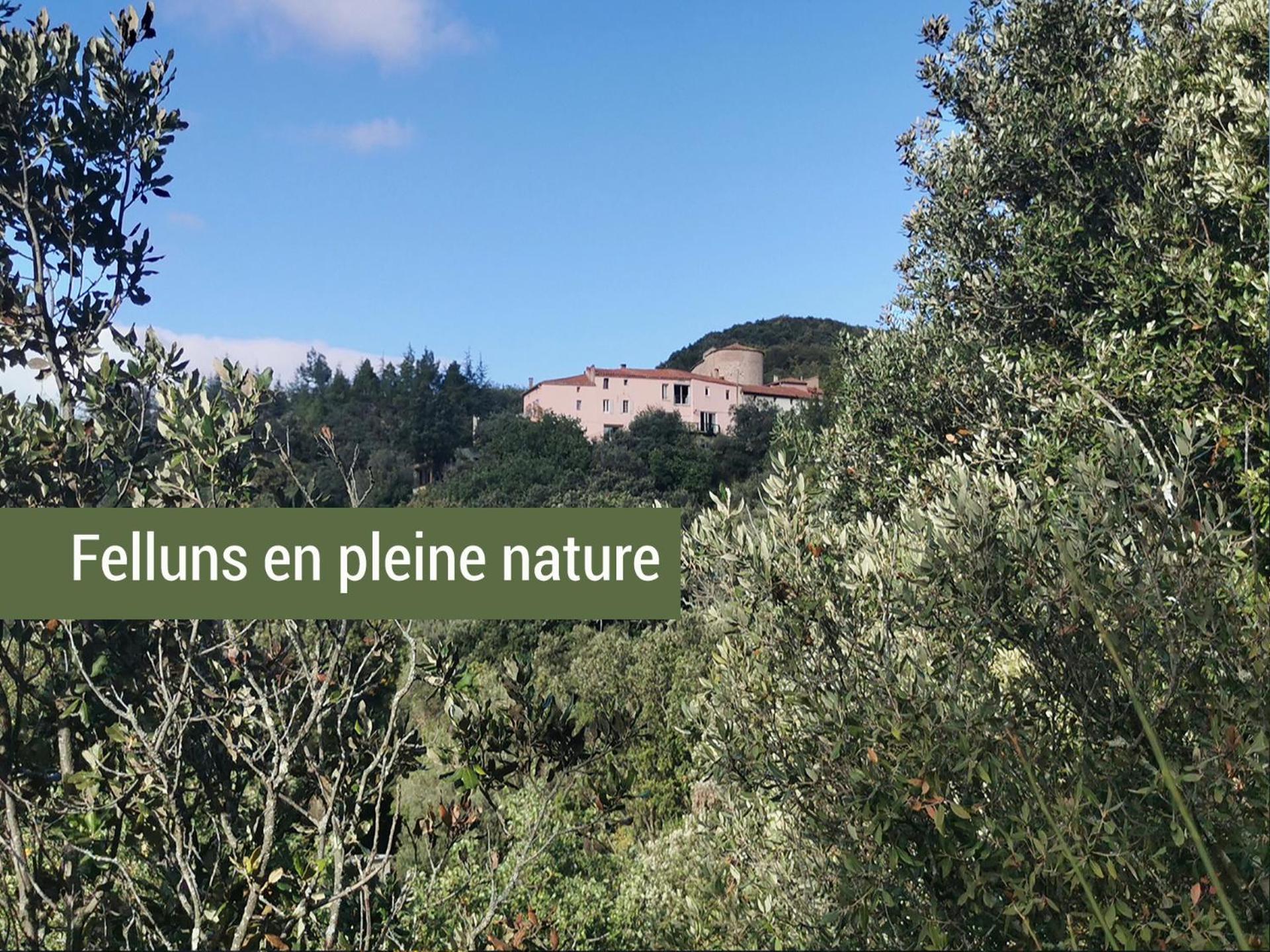 Pyrenees Mon Amour Felluns Экстерьер фото